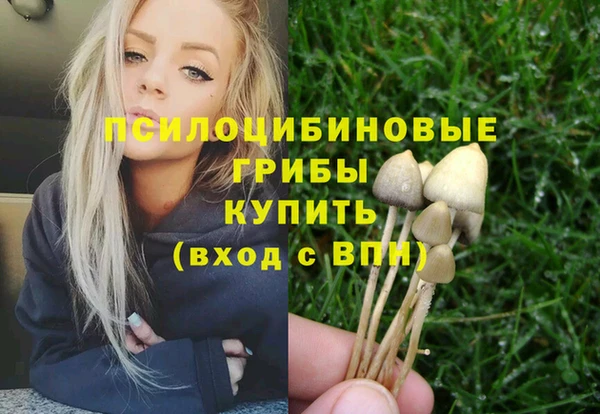 мескалин Алексеевка