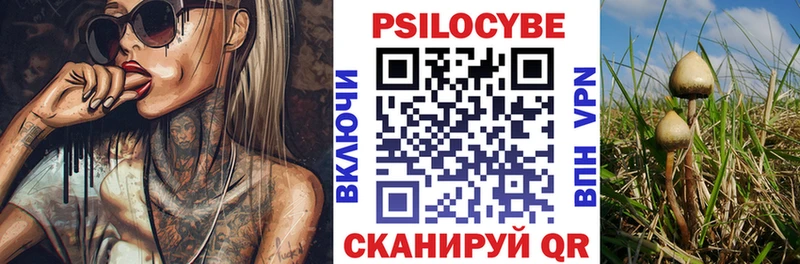 Купить где  Нерехта  Псилоцибиновые грибы Magic Shrooms 